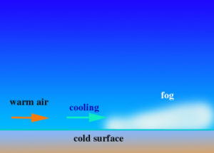 10 Interesting Facts about Fog