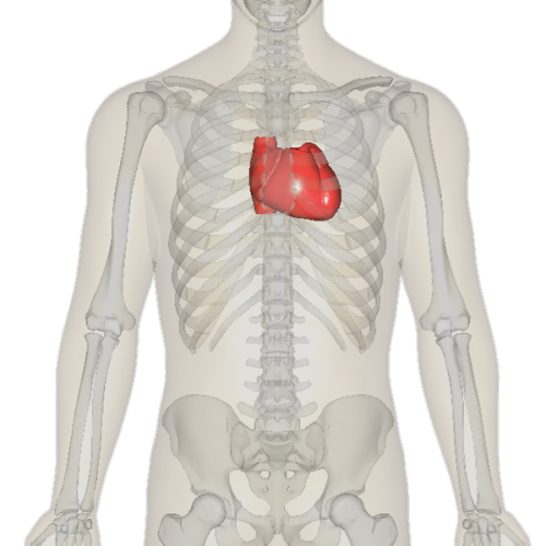 Heart Pic