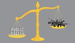 Gun law