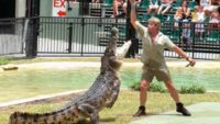 10 Interesting Facts about Steve Irwin