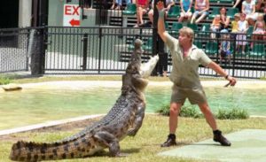 Australia Zoo