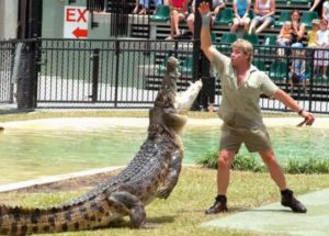 10 Interesting Facts about Steve Irwin