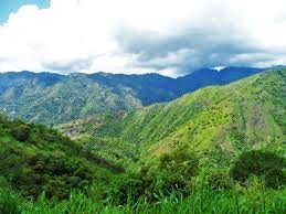 The Blue Mountains