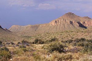 10 Interesting Facts about Hot Deserts