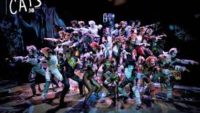 10 Interesting Facts about Cats the Musical