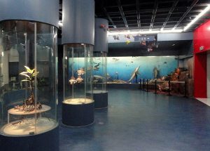 10 Interesting Facts about Zoology