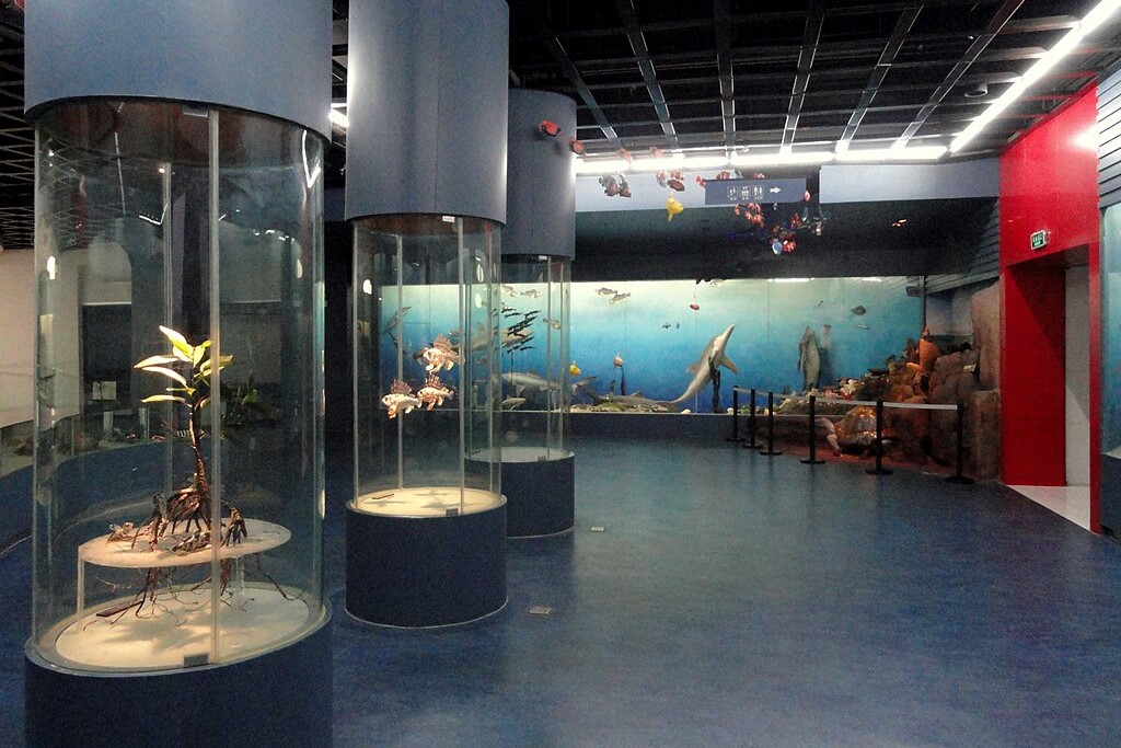 Kunming Natural History Museum of Zoology