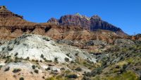 10 Interesting Facts about Zion National Park