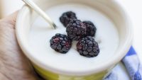 10 Interesting Facts about Yogurt