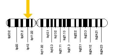 WRN gene location