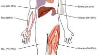 10 Interesting Facts about Water in the Body