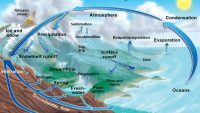 10 Interesting Facts about Water Cycle