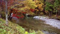 10 Interesting Facts about Watersheds