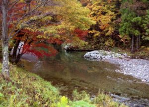 10 Interesting Facts about Watersheds