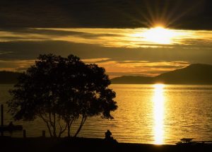 10 Interesting Facts about Washington State
