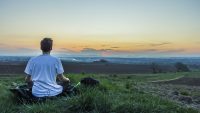 10 Interesting Facts about Wellness
