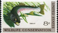 10 Interesting Facts about Wildlife Conservation
