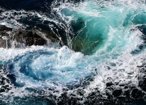 10 Interesting Facts about Whirls