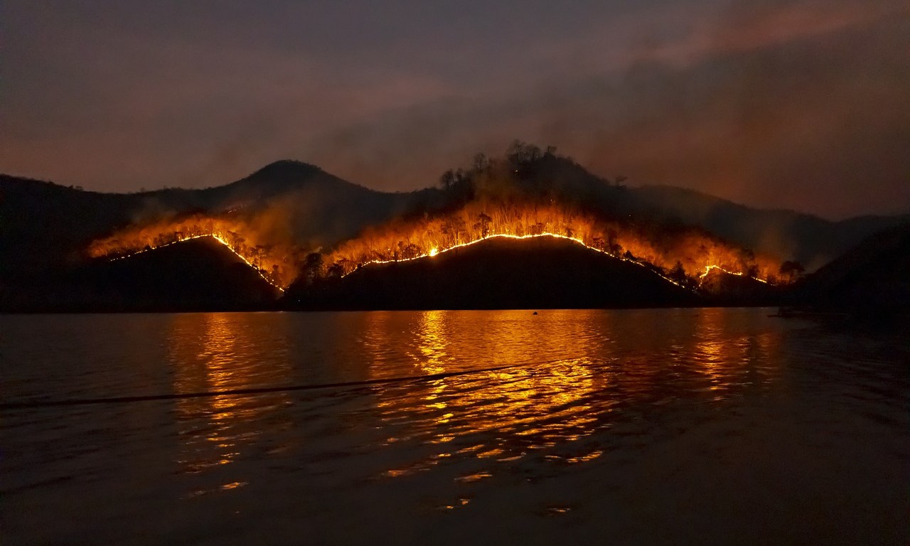 Wildfire