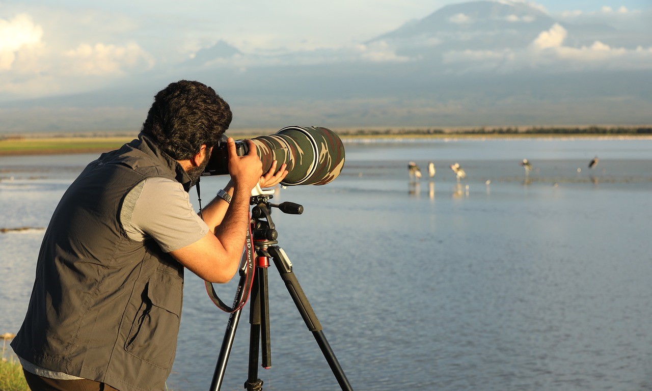 Wildlife photography