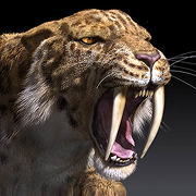 SaberTooth tigers Facts