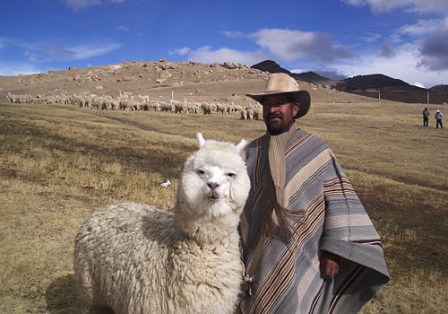 Facts about alpacas - Bolivian man with his alpaca