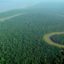 10 Interesting Facts about Amazon Rainforest