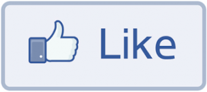 The “Like” button on Facebook