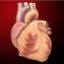 10 Interesting Facts about Heart