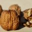 10 Interesting Facts about Walnuts